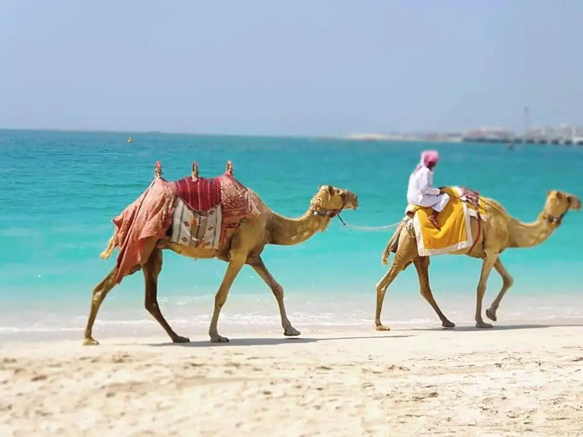 דירה Lovely Studio In Dubai Marina Near Beach And Metro Z417